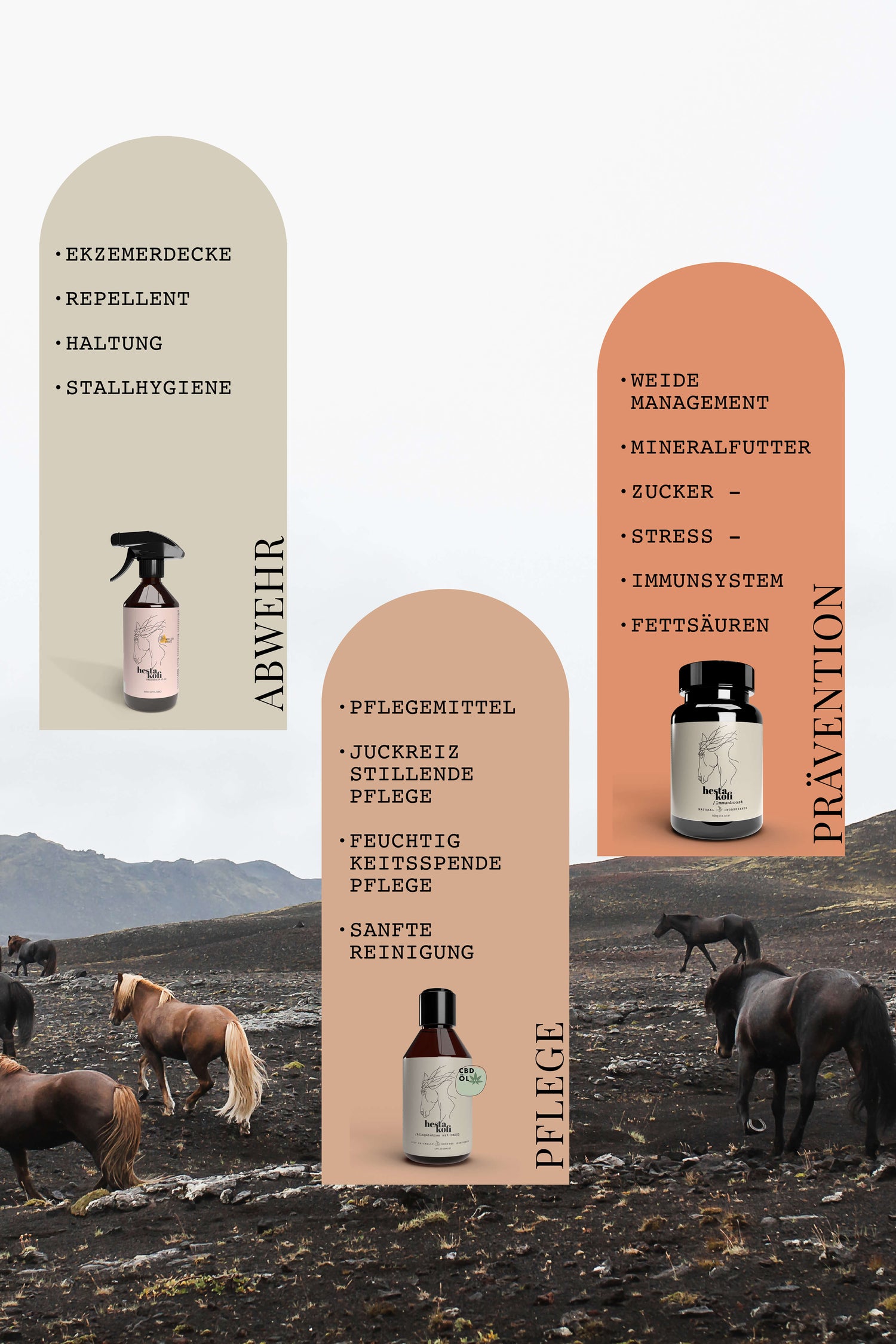 In drei Abschnitten werden Pferdepflegeprodukte aufgelistet - Spray, Öl und Nahrungsergänzungsmittel -, jeweils mit den wichtigsten Vorteilen auf Deutsch. Der Hintergrund zeigt mehrere braune und schwarze Pferde, die auf einer grasbewachsenen, felsigen Landschaft unter einem bewölkten Himmel grasen.