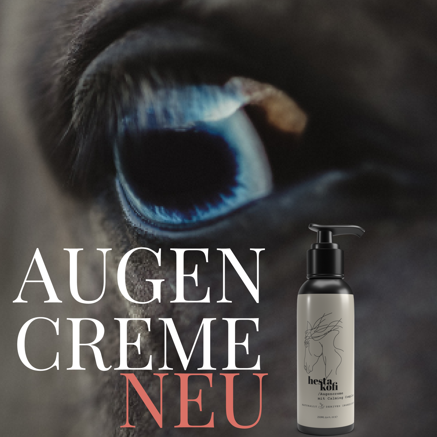 Eine Nahaufnahme eines blauen Tierauges im Hintergrund mit einer Flasche Hestakofi Augencreme im Vordergrund. Großer weißer und roter Text lautet AUGEN CREME NEU.