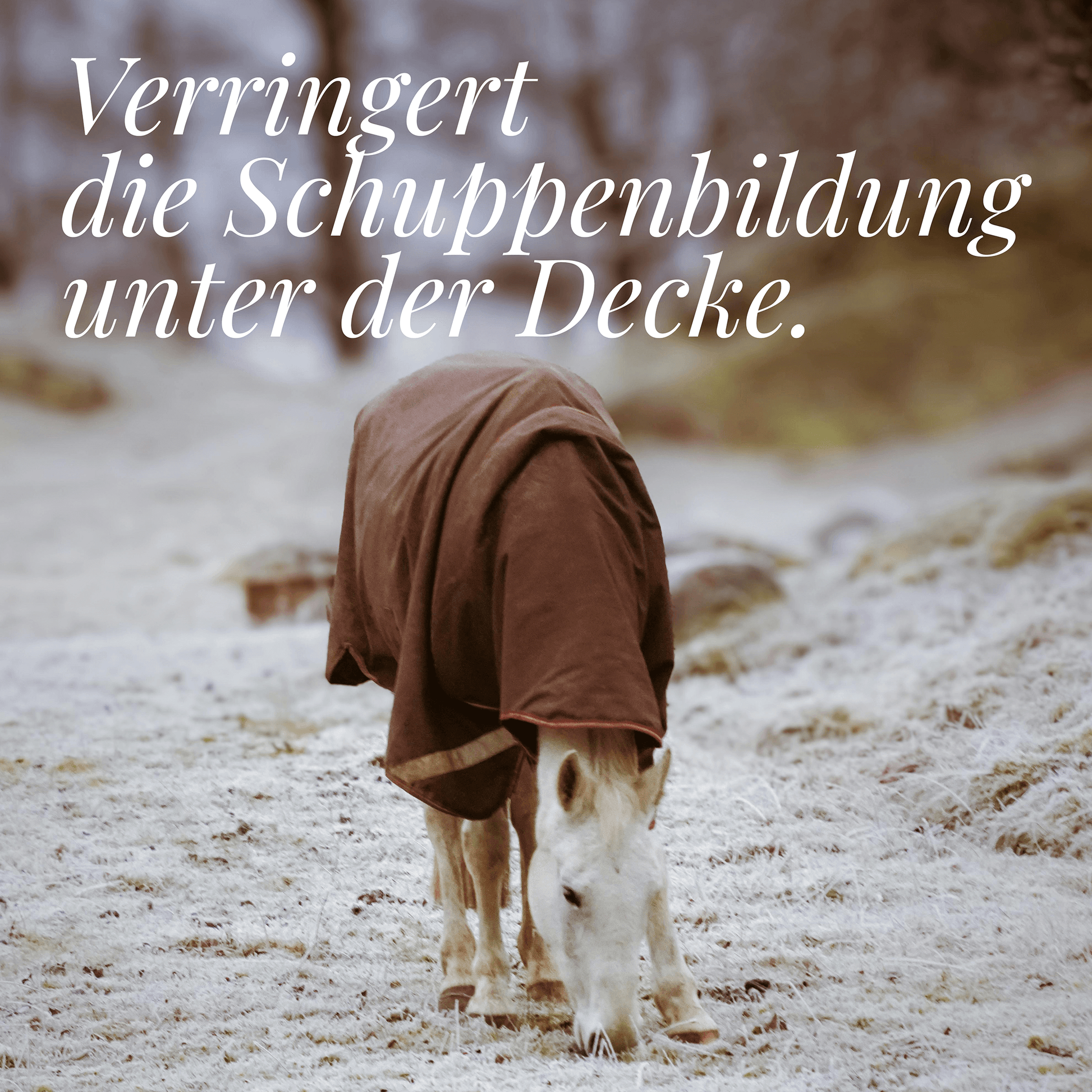 Ein Pferd in einer braunen Decke grast auf frostigem Gras. Deutscher Text überlagert: Hestakofi Flake Away-Hautschutzbarriere und Feuchtigkeit, verringert die Schuppenbildung unter der Decke.
