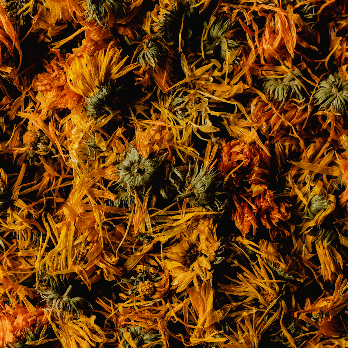 Eine Nahaufnahme eines dichten Haufens von getrockneten orangefarbenen und gelben Blütenblättern und Knospen, die ein strukturiertes und farbenfrohes Muster ergeben.