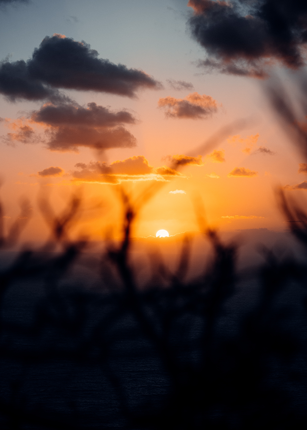 Goldorangefarbener Sonnenuntergang über dem Meer, teilweise verdeckt durch dunkle, unscharfe Äste im Vordergrund, mit vereinzelten Wolken am Himmel.