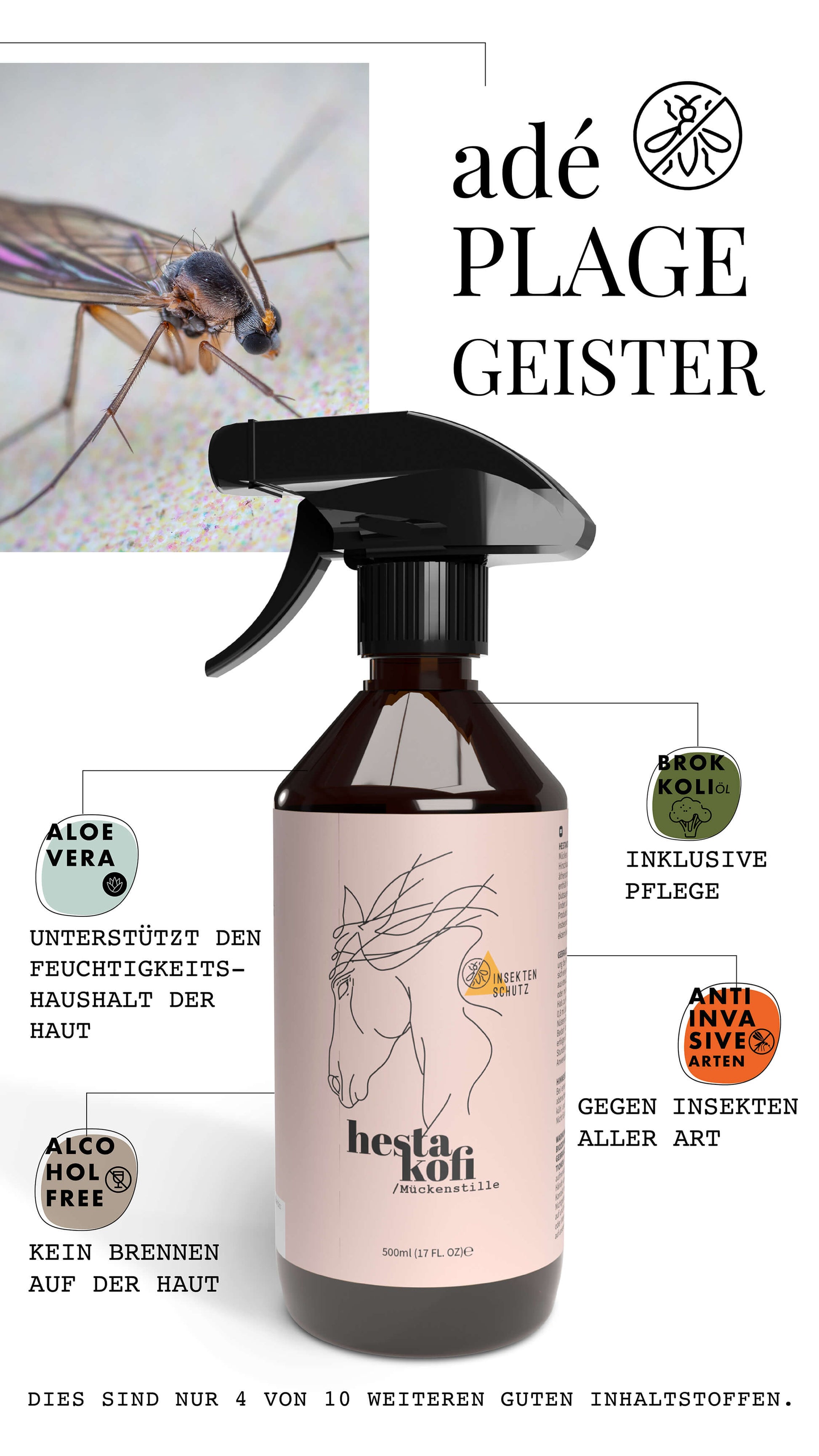 Abgebildet ist eine Sprühflasche mit Hestakofi MÜCKENSTILLE, einem natürlichen Insektenschutz. Die Symbole heben Aloe Vera, Brokkoli-Öl und eine alkoholfreie Formel hervor. Sicher für Haustiere und wirksam gegen alle Insekten. Darüber schwebt eine Stechmücke.