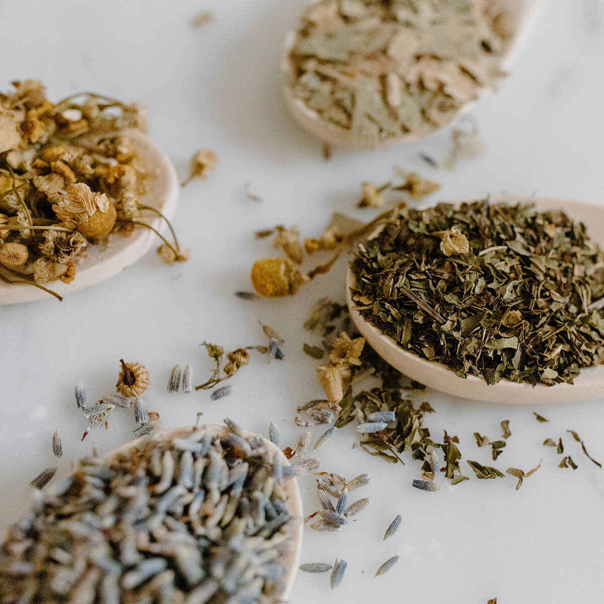 Vier hölzerne Löffel auf einer weißen Fläche, jeder mit getrockneten Kräutern und Blüten wie Kamille und Lavendel - wichtige Bestandteile von Hestakofis Immunboost -, die für Entgiftungskuren oder zur Unterstützung des Immunsystems verwendet werden, mit einigen Kräutern, die herumgestreut sind.