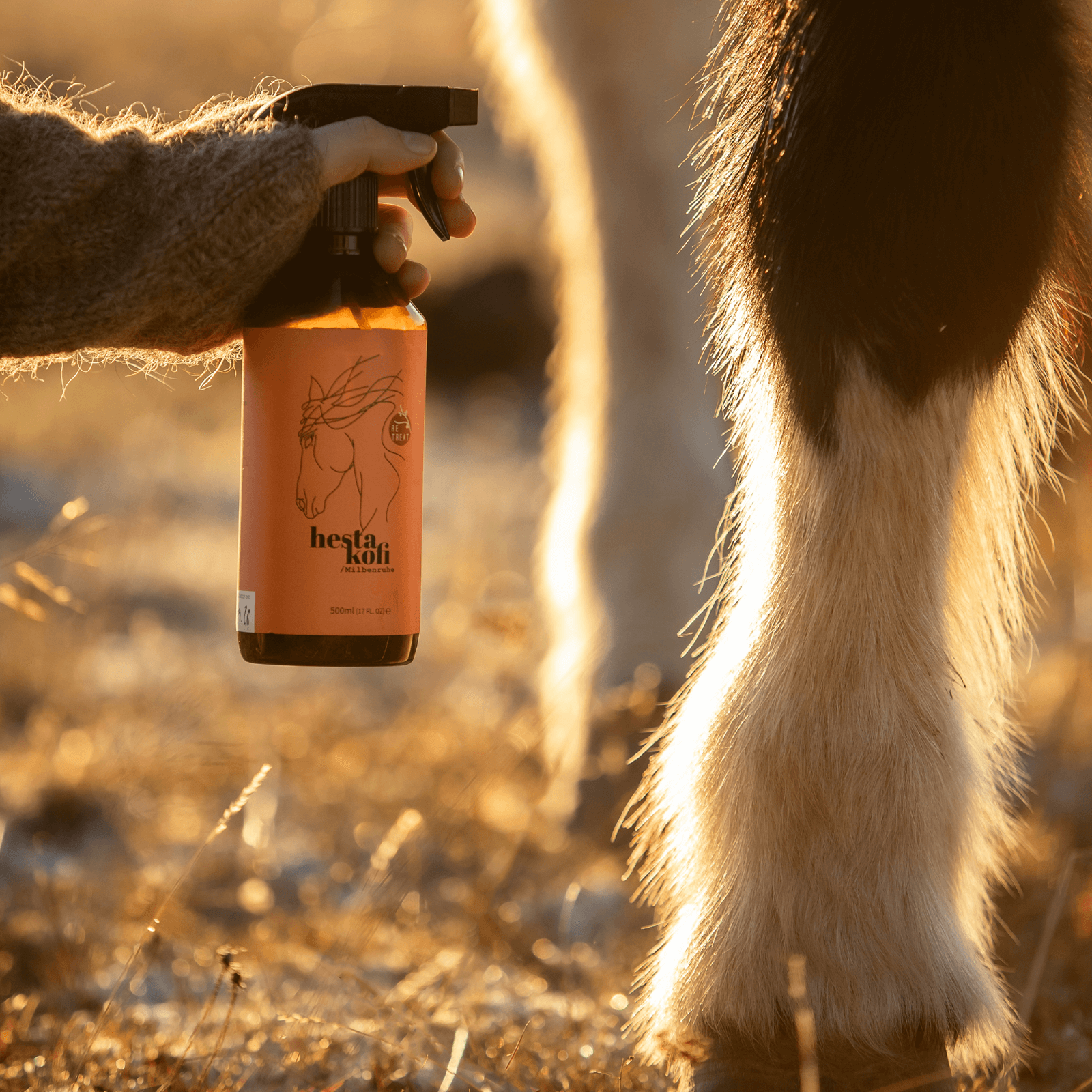 Eine Hand hält eine Hestakofi Milbenruhe-Sprühflasche neben dem Unterschenkel eines Pferdes auf trockenem Gras im warmen Sonnenlicht und zeigt die natürliche Pflege und Abwehrunterstützung von Hestakofi.