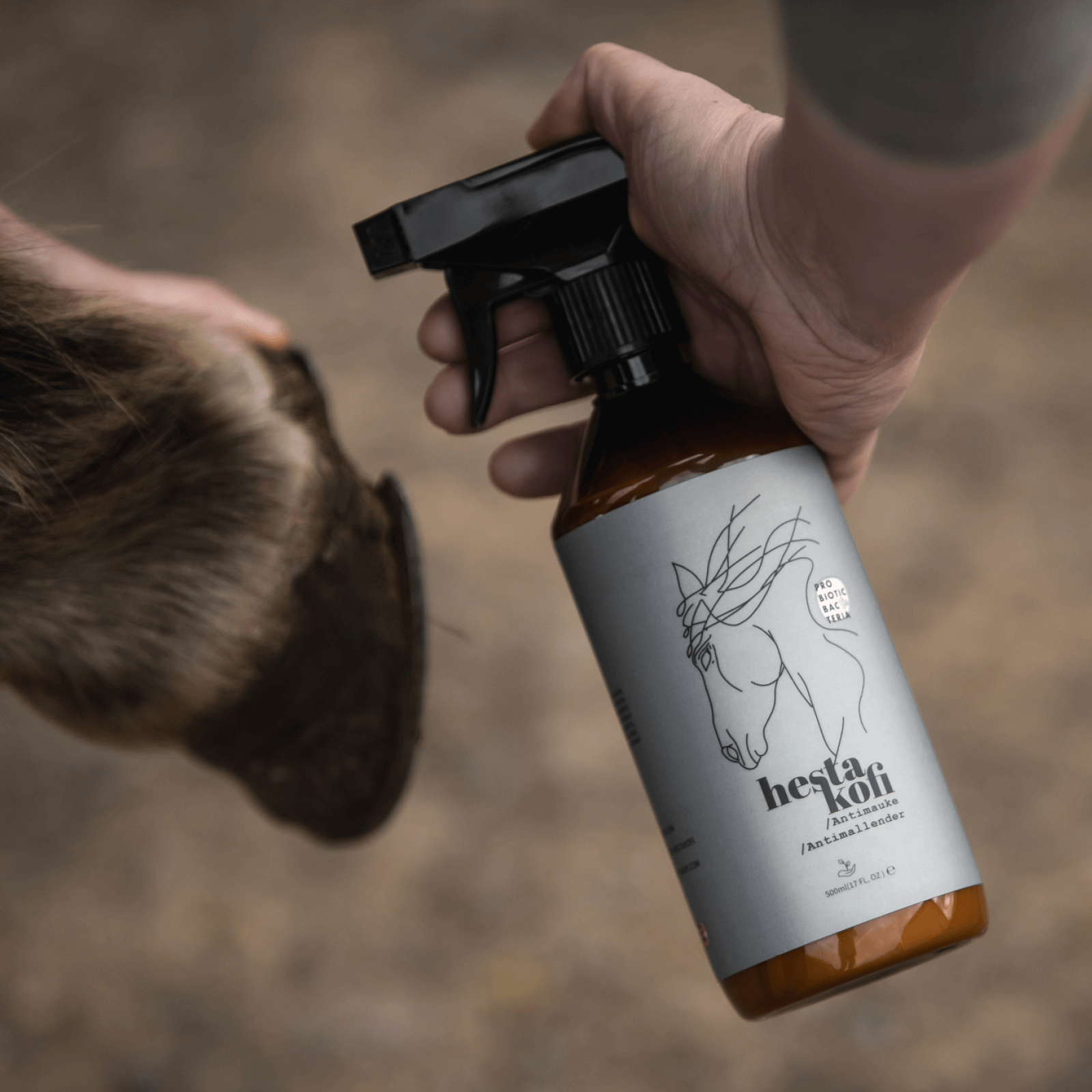 Eine Person in einem braunen Wollpullover sprüht Hestakofi Antimauke, eine braune Flasche mit einer Pferdeabbildung, auf den Huf eines Islandpferdes. 