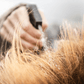 Mane and tail spray