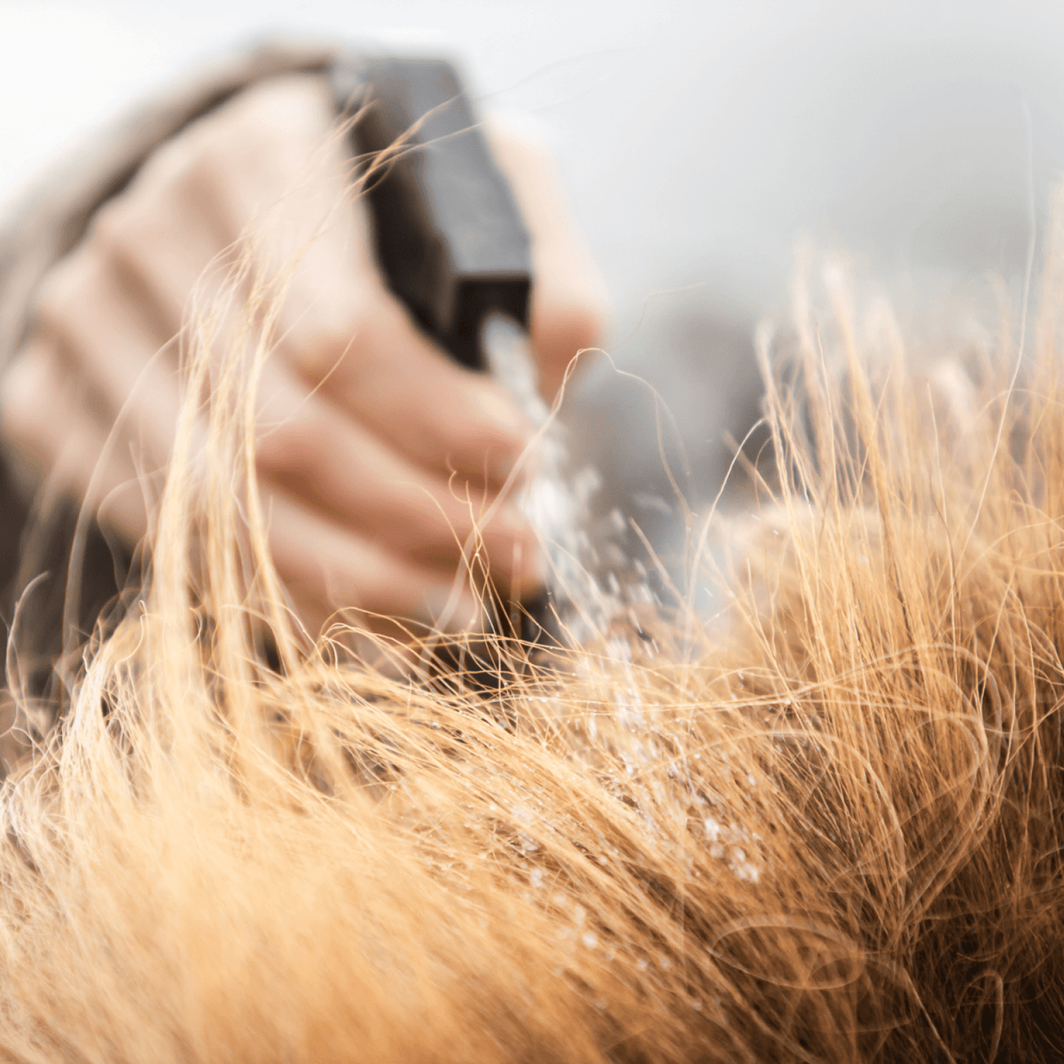 Mane and tail spray