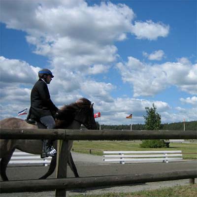 Eine Person mit Helm reitet an einem sonnigen Tag mit blauem Himmel und vereinzelten Wolken auf einem Pferd einen eingezäunten Weg entlang. Im Hintergrund sind mehrere Fahnen zu sehen.